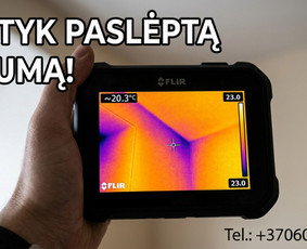 Pelėsio ir medžio grybo "Trobagrybio" naikinimas, šalinimas / PelėsioNaikinimasSalinimas.lt / Darbų pavyzdys ID 4361407