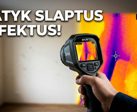 Pelėsio ir medžio grybo "Trobagrybio" naikinimas, šalinimas / PelėsioNaikinimasSalinimas.lt / Darbų pavyzdys ID 4361409
