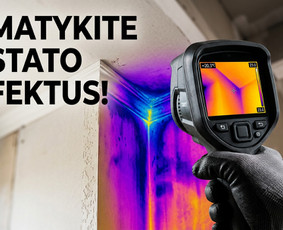 Pelėsio ir medžio grybo "Trobagrybio" naikinimas, šalinimas / PelėsioNaikinimasSalinimas.lt / Darbų pavyzdys ID 4361411