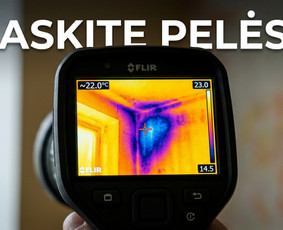 Pelėsio ir medžio grybo "Trobagrybio" naikinimas, šalinimas / PelėsioNaikinimasSalinimas.lt / Darbų pavyzdys ID 4361423