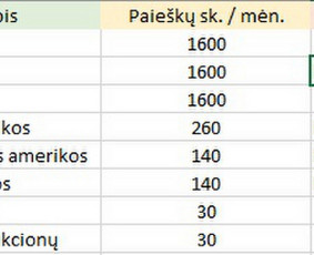 Raktinių žodžių analizė ir parinkimas - Vidinis, techninis, i&scaron;orinis Seo. Ai. Google Ads - 3