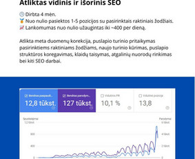 SEO paslaugos - Vidinis, techninis, i&scaron;orinis Seo. Ai. Google Ads - 4