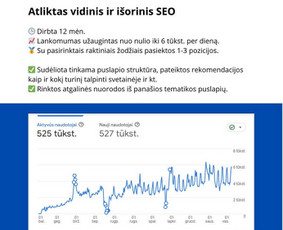 SEO paslaugos - Vidinis, techninis, i&scaron;orinis Seo. Ai. Google Ads - 3
