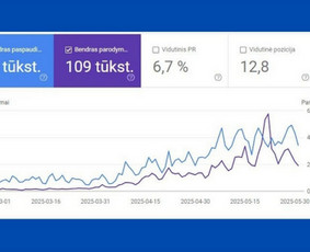 SEO paslaugos - Vidinis, techninis, i&scaron;orinis Seo. Ai. Google Ads - 1