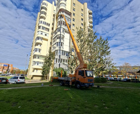 Bok&scaron;telio, keltuvo nuoma - Autobok&scaron;telio, bok&scaron;telio nuoma (nuo 17m iki 30m) Vilniuje - 1