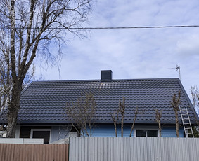 Stogdengiai, stogo darbai - Stogdengiai - 1