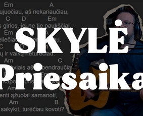Muzikantai, dainininkai, grupės - Lietuvi&scaron;kos dainos su gitarai! - 1