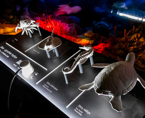 Profesionalus 3D spausdinimas, skenavimas, 3D modeliavimas / UAB "Idėja 3D" / Darbų pavyzdys ID 4362807