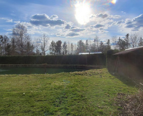 Vaismedžių sodinimas ir priežiūra - Tuju,gyvatvoriu karpymas,žeminimas,formavimas - 3