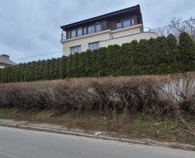 Vaismedžių sodinimas ir priežiūra - Tuju,gyvatvoriu karpymas,žeminimas,formavimas - 4