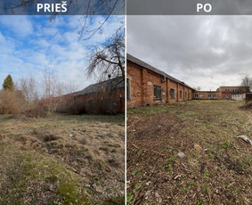 Aplinkos tvarkymas, apželdinimas - Tvarkingi Sklypai Panevėžyje - 1