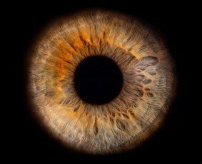 Fotopaslaugos - Fotografas - 4