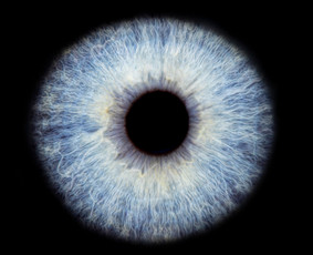 Fotopaslaugos - Fotografas - 2