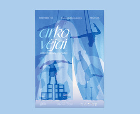 Internetas, IT - Plakatų, banerių, lankstinukų, animacijų, kūrimas - 4