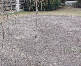 Vejos įrengimas: sėjimas, ruloninė veja - Aeravimas skarifikavimas ir kitos vejos priežiūros paslaugos - 4