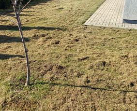 Žemės frezavimas - Vejos skarifikavimas aeravimas lyginimas atsėjimas trę&scaron;imas - 2