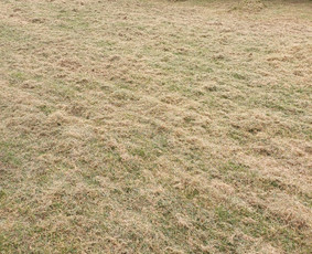 Žemės frezavimas - Vejos skarifikavimas aeravimas lyginimas atsėjimas trę&scaron;imas - 1