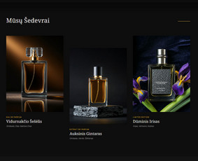 Programavimas su WordPress - Internetinių svetainių, el.parduotuvių ir platformų kūrimas - 1