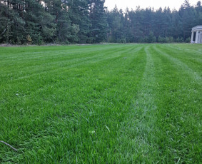 Vejos priežiūra, įrengimas - Ie&scaron;kai sprendimo? Mes jį turim. - 3