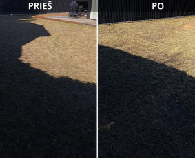 Aplinkos tvarkymas, apželdinimas - Pjaunu veją žoliapjove ir trimeriu, i&scaron;ra&scaron;au Sf - 4