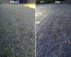 Aplinkos tvarkymas, apželdinimas - Pjaunu veją žoliapjove ir trimeriu, i&scaron;ra&scaron;au Sf - 3