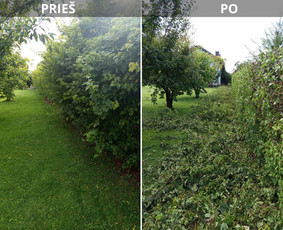 Aplinkos tvarkymas, apželdinimas - Pjaunu veją žoliapjove ir trimeriu, i&scaron;ra&scaron;au Sf - 2