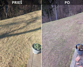 Aplinkos tvarkymas, apželdinimas - Pjaunu veją žoliapjove ir trimeriu, i&scaron;ra&scaron;au Sf - 1