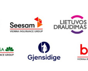 Gyvybės draudimas - Draudimo paslaugos_transporto, būsto, statybų, gyvybės, kt. - 1