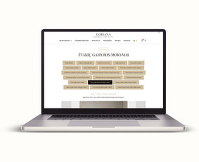 Interneto svetainių kūrimas - Interneto svetainių kūrimas ir web dizainas - 3