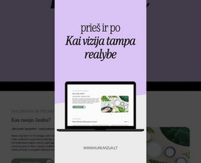 Interneto svetainių kūrimas - Interneto svetainių kūrimas ir web dizainas - 1