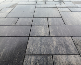 Aplinkos tvarkymas, apželdinimas - Trinkeliu klojimas Marijampoles -Kauno apskritys - 2