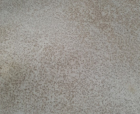 Srautinis valymas - Trinkelių plovimas, langų ir patalpų valymas - 1