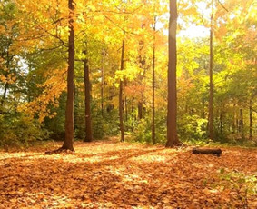 Video montavimas, dizaineriai - Video montavimas / Video editing - 4