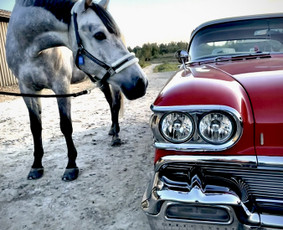 Automobilių nuoma - 1958-ųjų kabrioleto Ford ir Oldsmobile sedano nuoma - 4