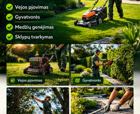 Gyvatvorių karpymas - Vyrai Sode &ndash; visi aplinkos tvarkymo darbai - 2