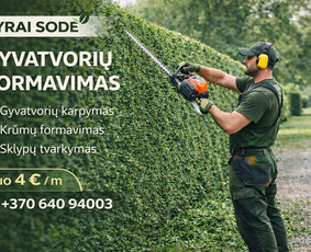 Vaismedžių sodinimas ir priežiūra - Vyrai Sode &ndash; visi aplinkos tvarkymo darbai - 1