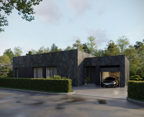 3D interjero, eksterjero vizualizacijos, 3D planai / Kornelijus Daukantas / Darbų pavyzdys ID 4367749