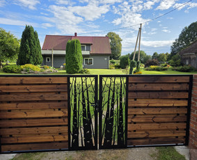 Metalo gaminiai / Metalo plazma / Darbų pavyzdys ID 4367901