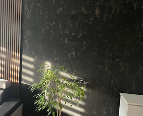 Dekoratyvinis tinkavimas - Vidaus apdailos darbai - 1