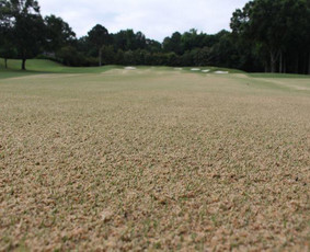 Žemės kasimas, lyginimas - Smėlis vejoms - 1