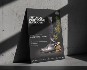 Plakatų maketavimas - Ui/ux, Web, Grafikos dizainas - svetainės, reklama, spauda - 4