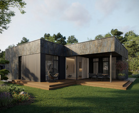 3D interjero, eksterjero vizualizacijos, 3D planai / Kornelijus Daukantas / Darbų pavyzdys ID 4368583