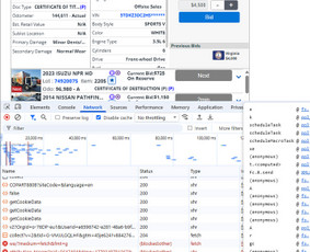Programavimo Paslaugos - Runtime / Džiugas B. / Darbų pavyzdys ID 4368809