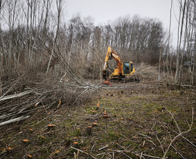 Žemės kasimas, lyginimas - Ekskavatoriaus nuomos paslaugos - 1