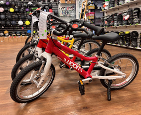 Kitos laisvalaikio paslaugos - Riedučių dviračių nuoma Kaune ir Servisas - 1