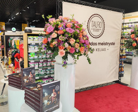 Baldų nuoma - &Scaron;ventinių kilimų nuoma - 3