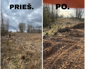 Griovimas/šiukšlių išvežimas / Lukas / Darbų pavyzdys ID 4369407