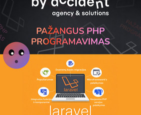 Programavimas su Laravel (PHP) - Programavimas / Automatizacijos / Di sprendimai / Svetainės - 1