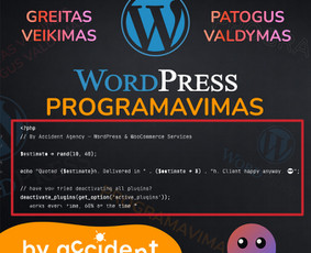 Programuotojai - Programavimas / Automatizacijos / Di sprendimai / Svetainės - 2
