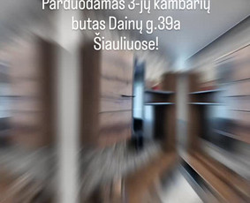 Nekilnojamojo turto brokeris Šiauliuose. / Alvydas Bružas / Darbų pavyzdys ID 4369475
